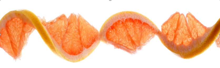 健康食品分野でのニーズの発掘受託ではなく、共存・共栄を目指す